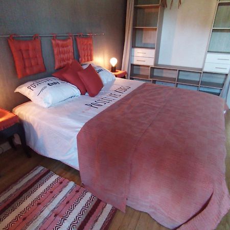 Au Bord De L'Eau Coulon Apartment ภายนอก รูปภาพ